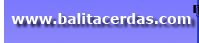 Situs Balita