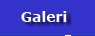 Foto Galeri